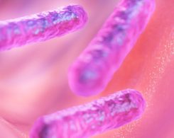 Mikrobiotici